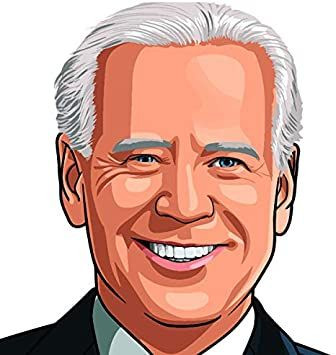 2020 biden face sticker