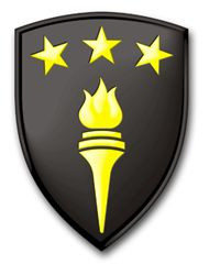 us army war college patch vinyl transfer STICKER