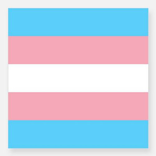 trans pride flag square sticker