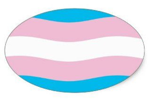 trans pride flag sticker oval