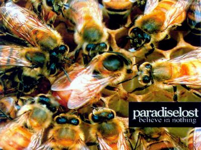 PARADISE LOST Color Band Decal