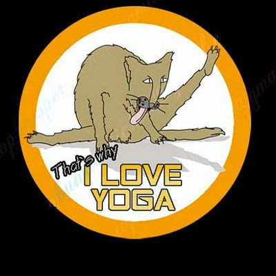 Why I Love Yoga Funny Dirty Sticker