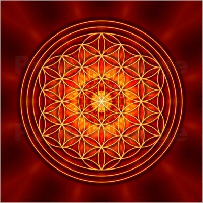 YOGA Flower of Life Color Sticker