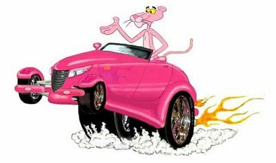 16Aa Pink Panther 2