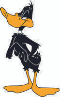 Daffy 05