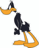 Daffy 07