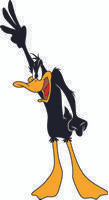 Daffy 12