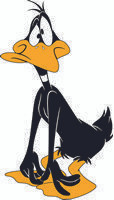 Daffy 13