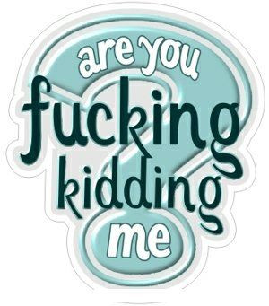 fucking kidding Funny Humor Decal Stickers11
