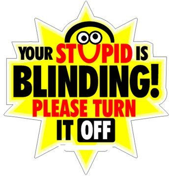 stupid is blinding Funny Humor Decal Stickers08