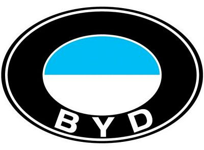 BYD Color Logo sticker