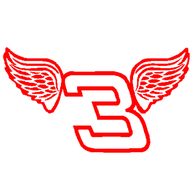 3 Dale Wings decal 513