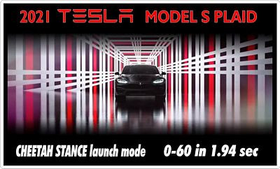 2021 TESLA MODEL S PLAID STICKER