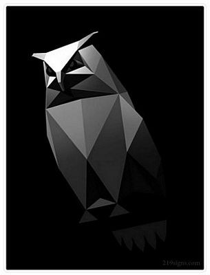 CYBERTRUCK order conformation OWL STICKER