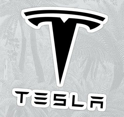 TESLA LOGO STICKER black and white