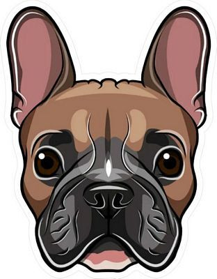 Animal, Fish & Bug Stickers