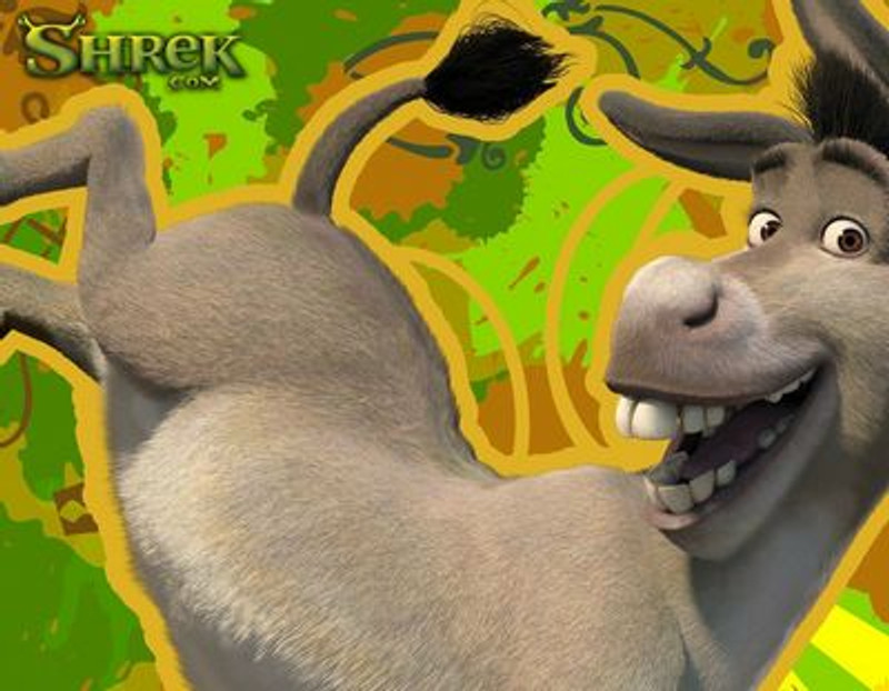 Shrek Decals and Vinyl Wall Graphics 13