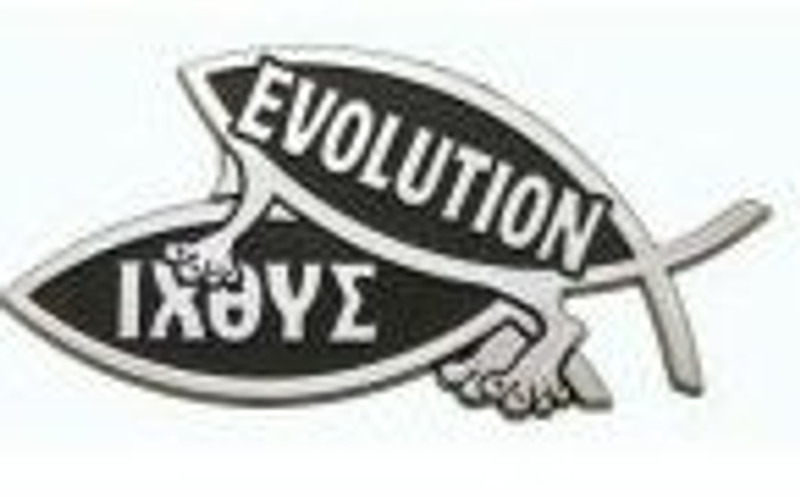 Evolution Chrome Car Emblem