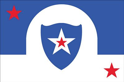 Michigan Detroit City Flag Sticker