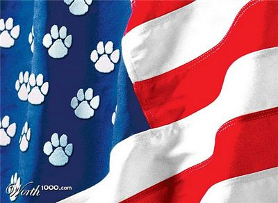 Paws and Stripes Decal