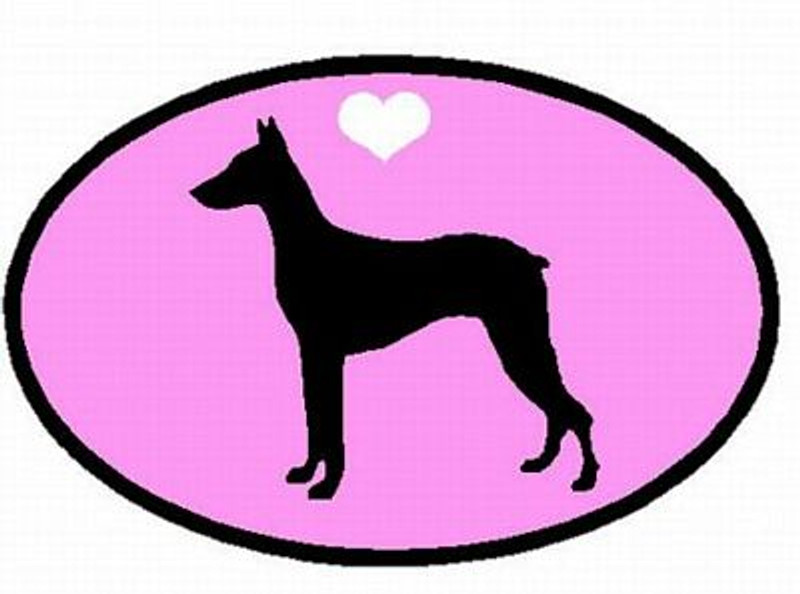 Doberman Pinscher Decal PINK