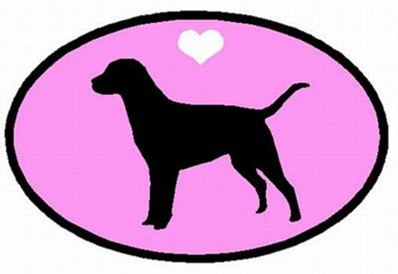 Labrador Retriever Decal PINK