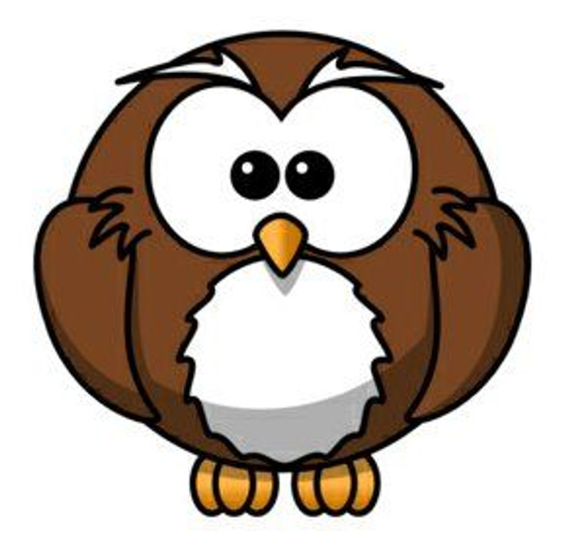 owl color decal