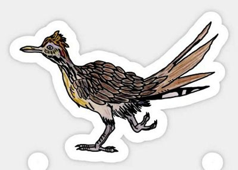 ROAD RUNNER COLOR ANIMAL STICKER 77