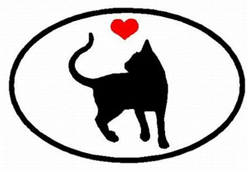 Cat Decal oval