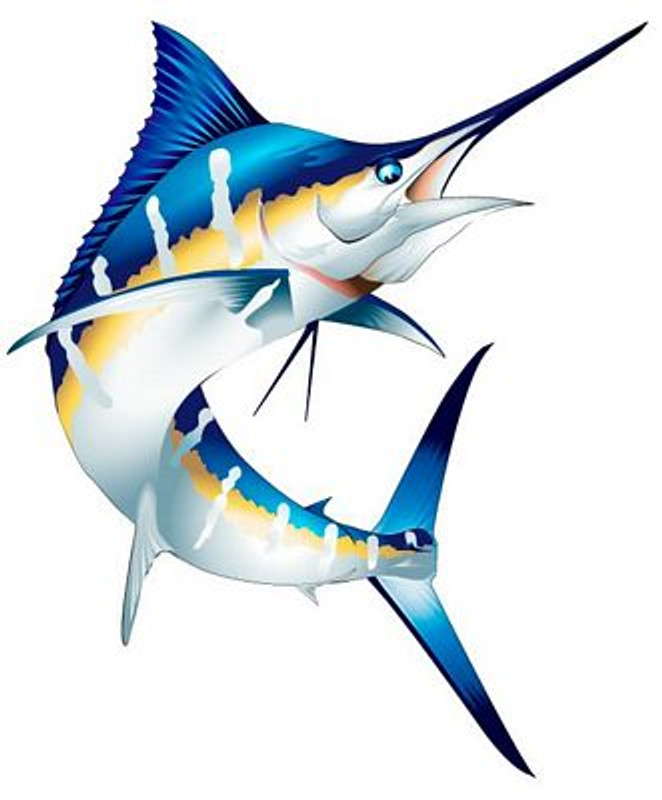 Marlin Color Fish Sticker 1