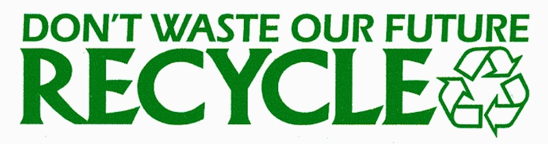dont waste our future recycle bumper sticker