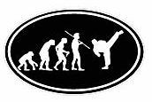 Evolution Sport Stickers KARATE - OVAL B