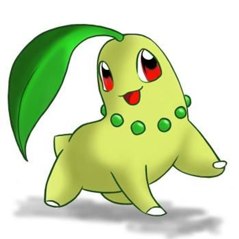 Pokémon chikorita