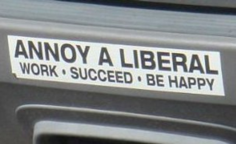 Annoy a Liberal bumper sticker