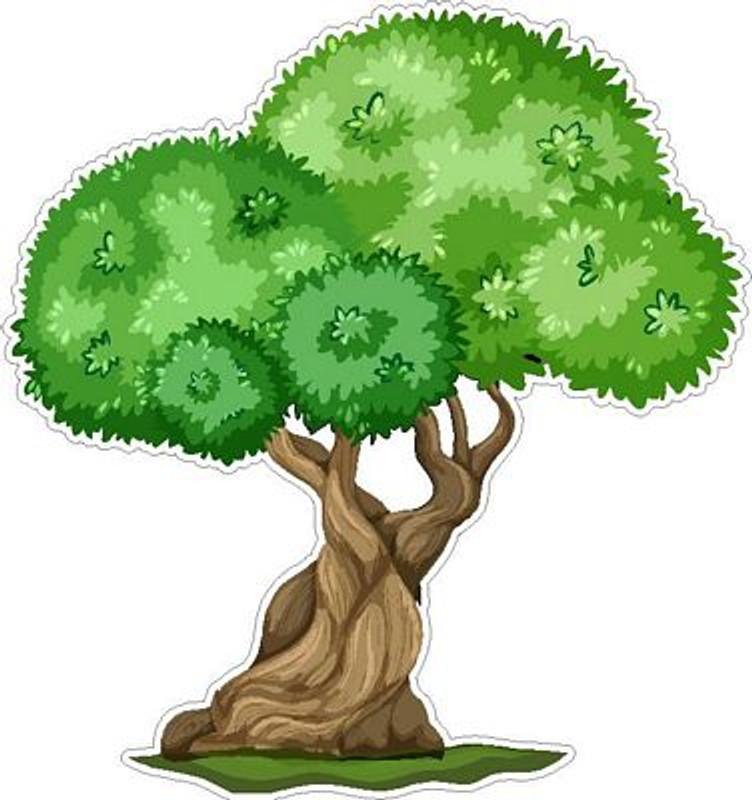 Tree Clipart 444