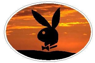 Oval Playboy Decal 17