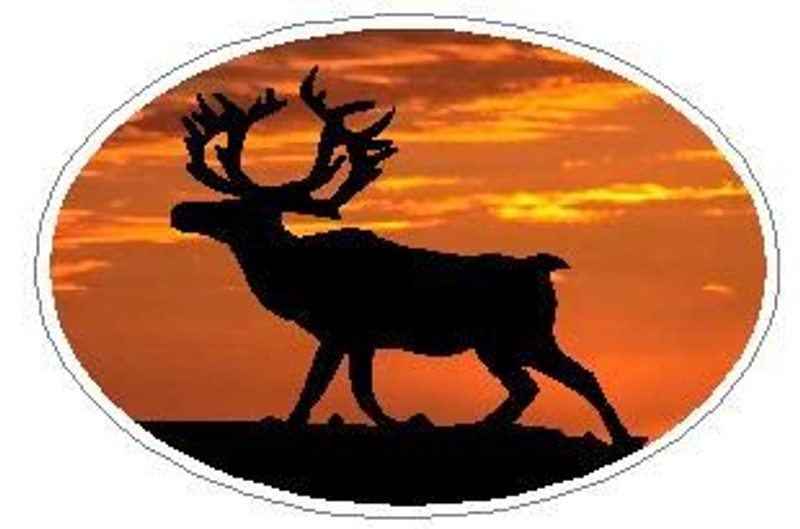 Oval Deer Decal 07