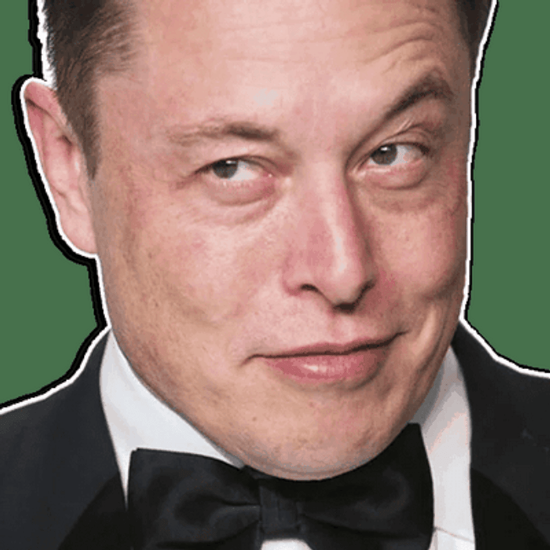 SNEEKY ELON FACE STICKER
