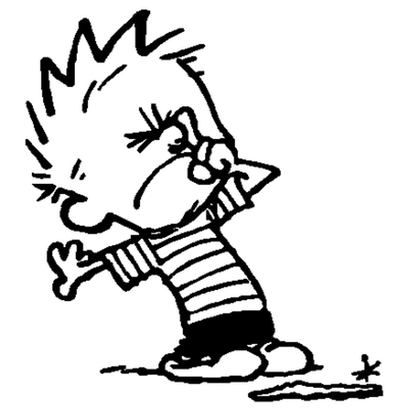 Calvin Snott decal 549