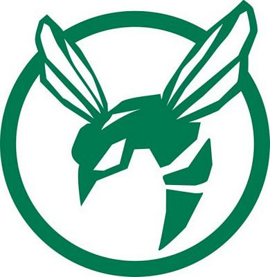 The Green Hornet Die Cut Vinyl Decal Sticker