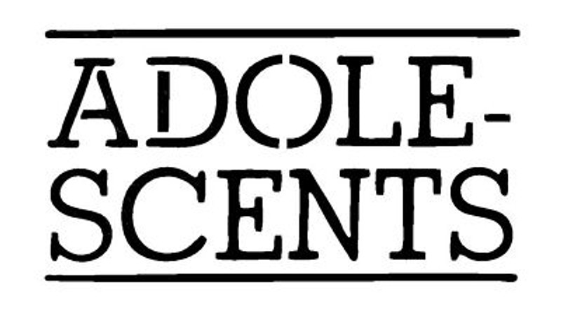 Adolescents Band Vinyl Decal Sticker