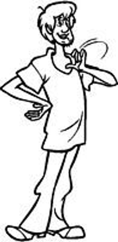 Scooby Doo Sticker Shaggy