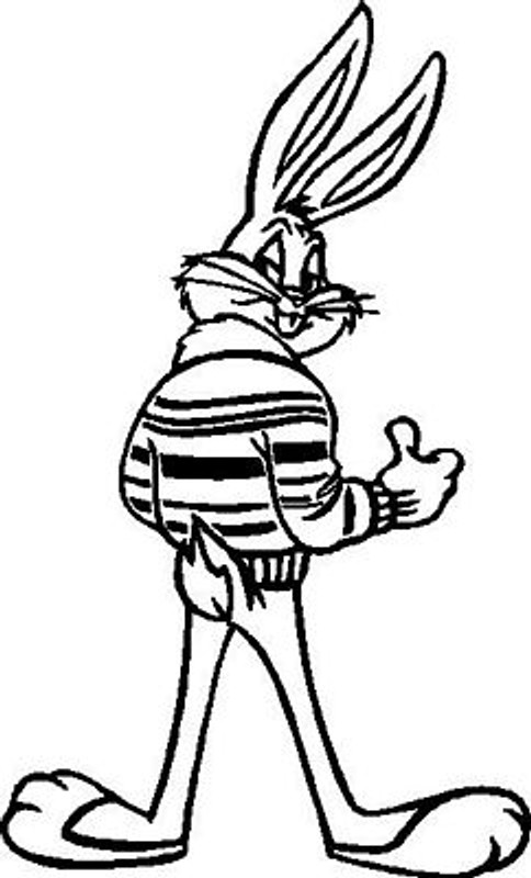 Bugs Bunny Decal Jacket