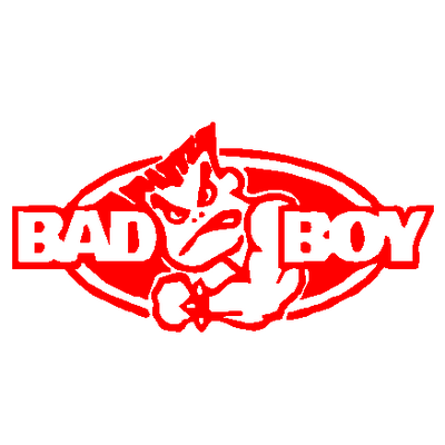 Bad Boy car decal 900