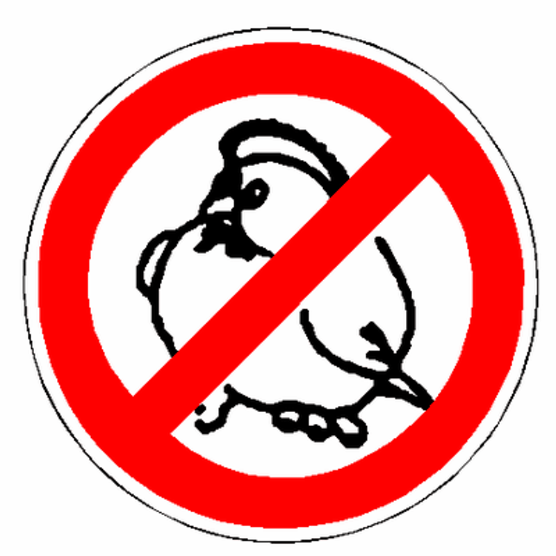 No Fat Chicks Decal 657