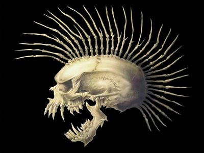 skull hd  punk rectangular sticker