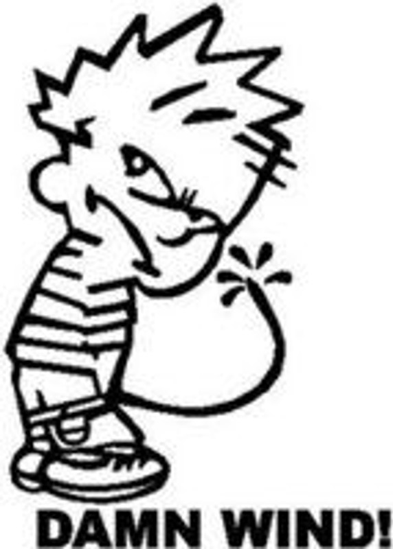 Calvin Peeon Damb Wind Die Cut Decal Sticker