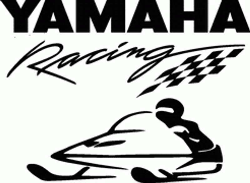Snowmobile Decals 8