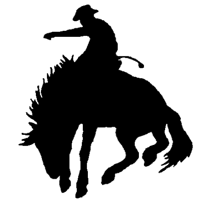 Cowboy Rodeo decal 209