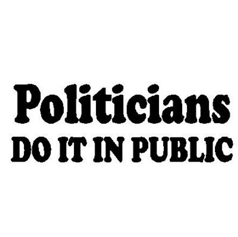 Politicians Do It Decal Politicians Do It Decal